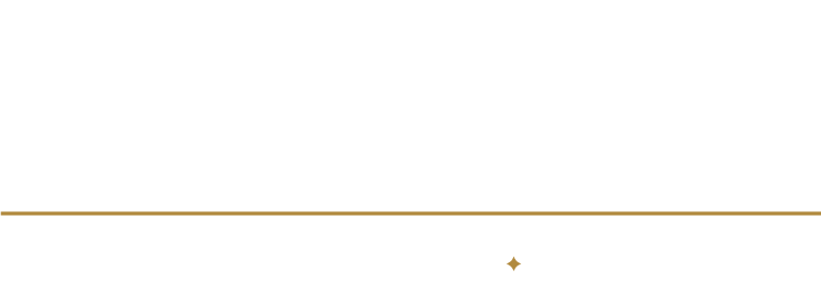 The Traveller's case co